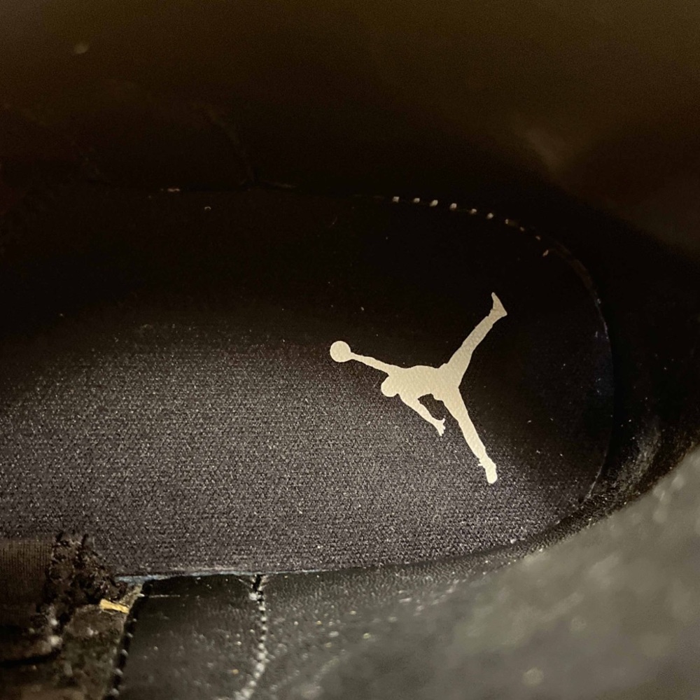 Jordan 12 Retro Python - Picture 8 of 9